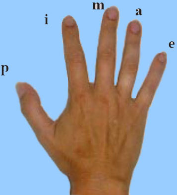 Обозначения пальцев правой руки на нотной записи